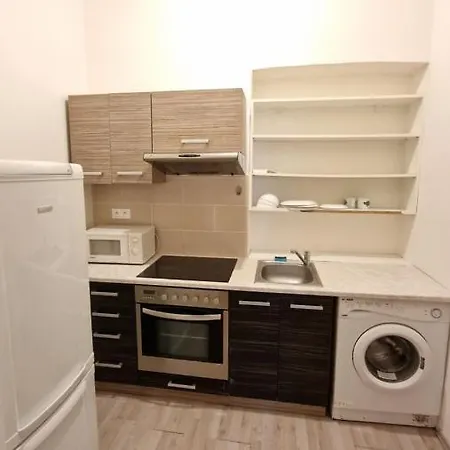 Cozy Karlín Loft Center Apartamento